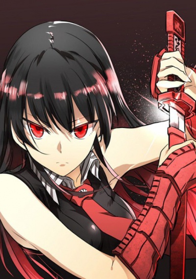Akame ga Kill / Убийца Акаме